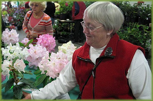 ARS flower show